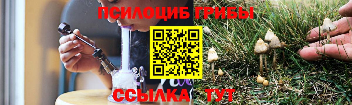 Галлюциногенные грибы Psilocybine cubensis  Вход с VPN  Костомукша 